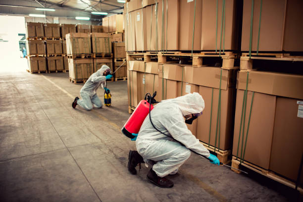 Flea Control Services in Azle, TX