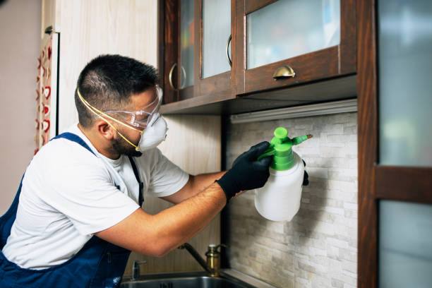 Trusted Azle, TX Pest Control Experts