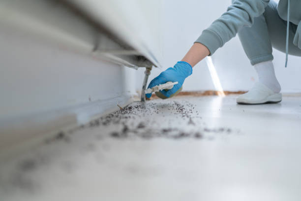 Wildlife Control Services in Azle, TX